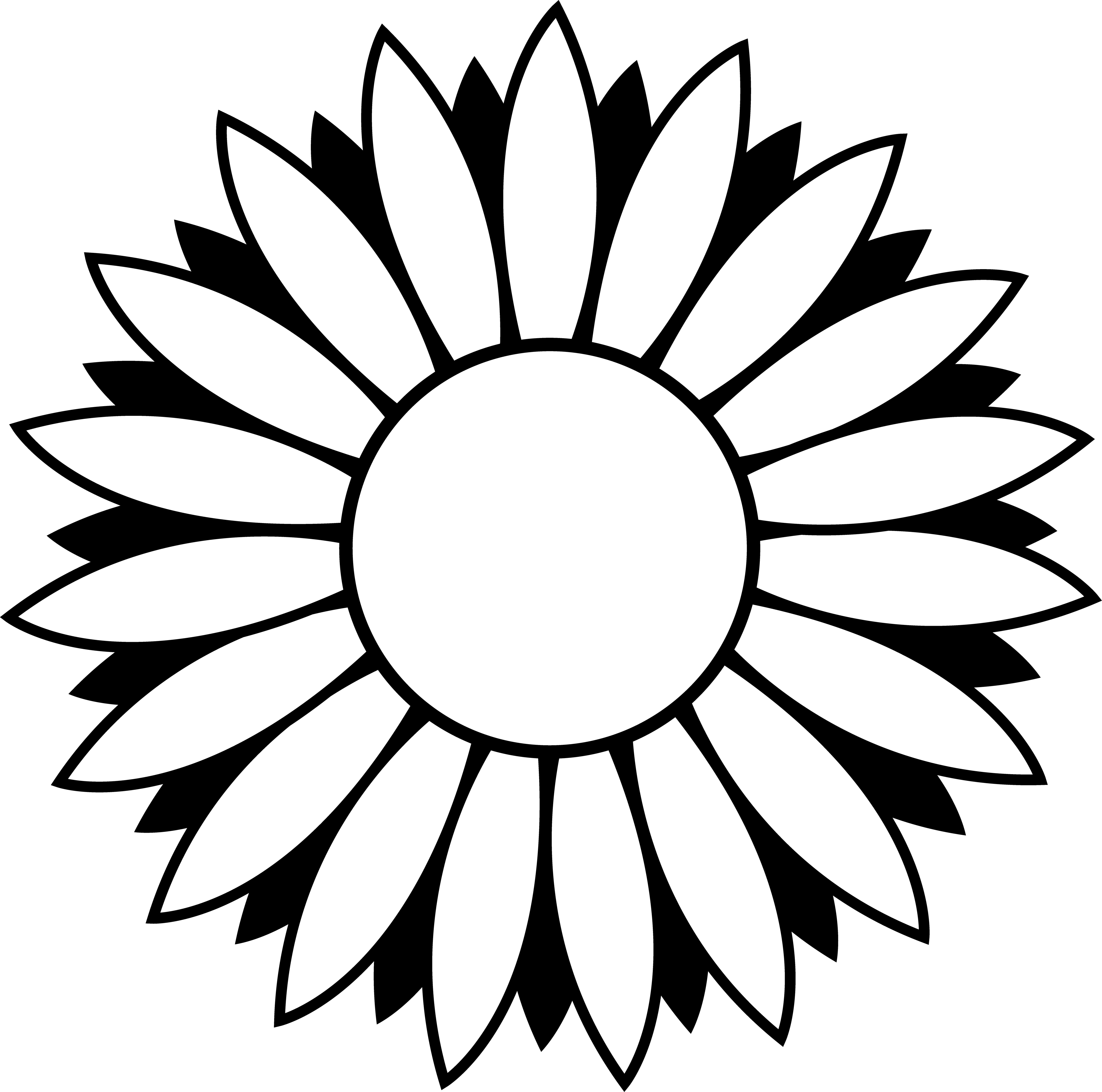 Simple Daisy Outline Clipart - Free to use Clip Art Resource
