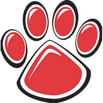Paw Print Temporary Tattoos, Animal Paw Funtoo