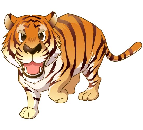 Jungle animals, Jungles and Cartoon drawings