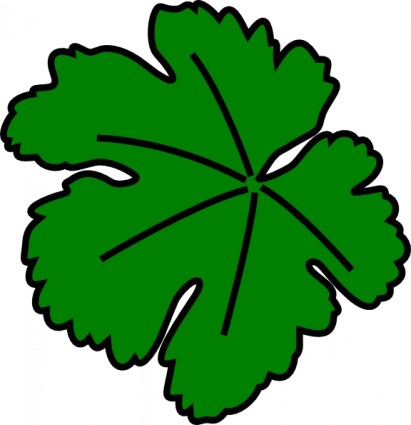 Grapevine Clipart - Free Clipart Images