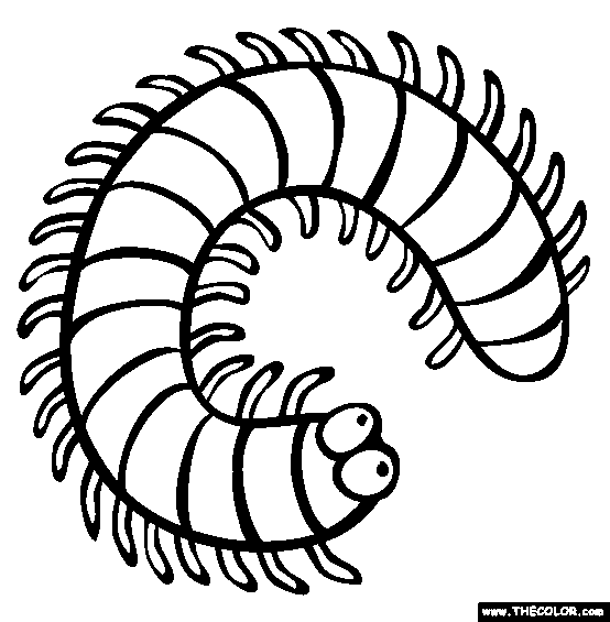 Millipede Cartoon Clipart