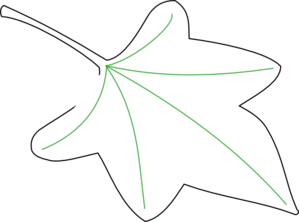 Grape Leaf Clipart