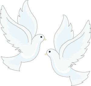 Dove bird peace clipart