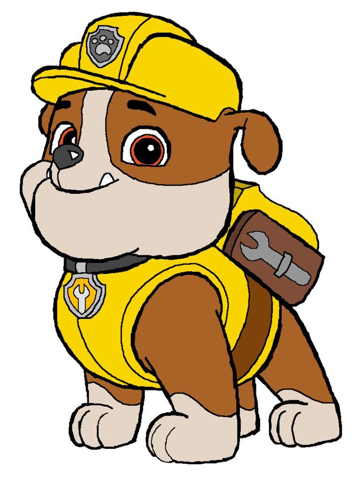 Paw Patrol Cartoon | Paw Patrol ...