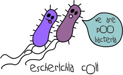 E Coli Cartoon