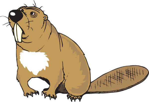 Beaver Clipart - Tumundografico