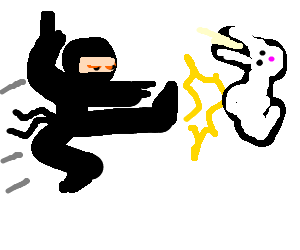 Ninja kick the damn rabbit