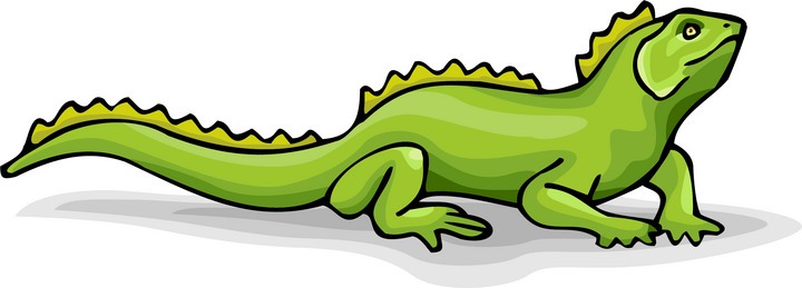 Lizard Clipart - Tumundografico