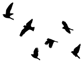 Best Photos of Flying Bird Stencil - Flying Bird Stencil Printable ...