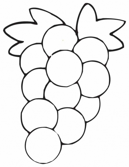 1000+ images about grapes graphic
