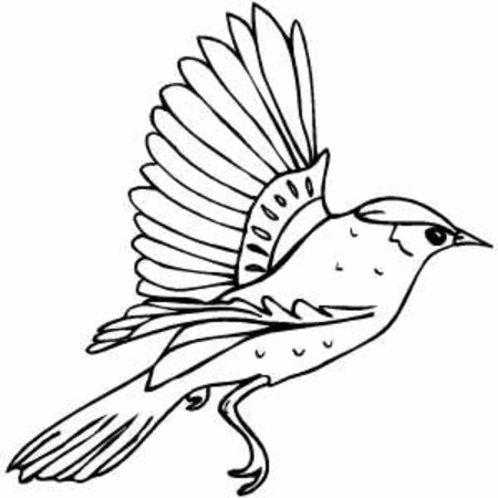 Drawings Of Birds Flying - ClipArt Best