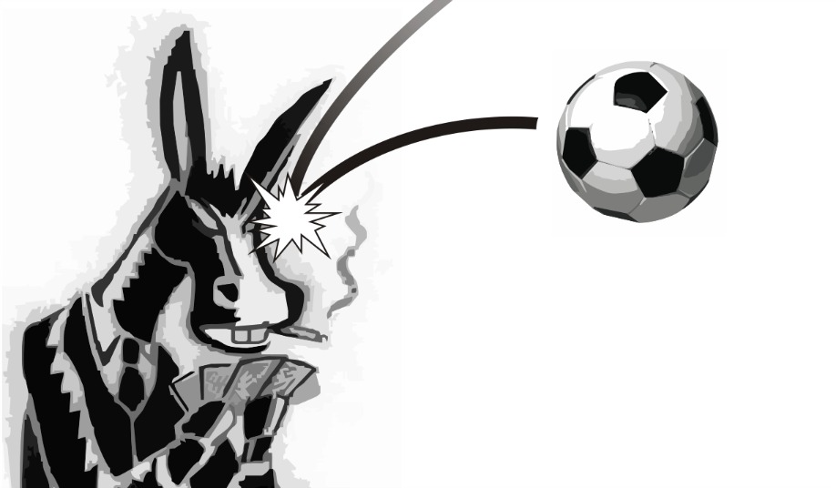 The best I've ever seen #8: Donkey heads a football… | The Washbag