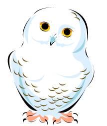 Snowy Owl Clip Art - Tumundografico