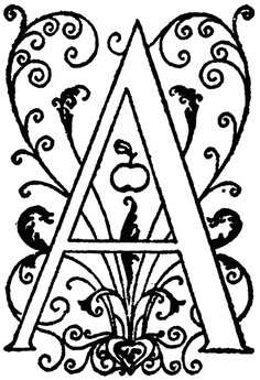 Letters and Fonts
