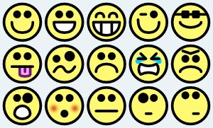 12161396571580251816qubodup_15 ...