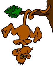 Monkey Clip Art Free