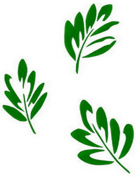 Buckingham Stencils :: Designer :: Gary Oak Leaves 0053