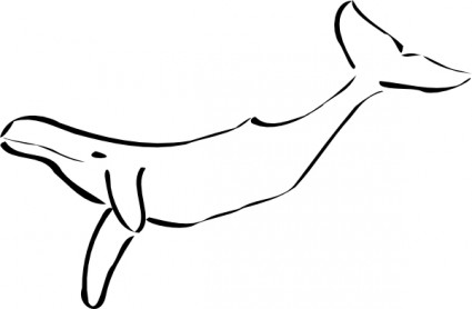 Killer whale 2 Free Vector