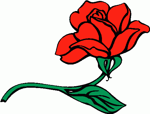 Clipart Roses - Tumundografico
