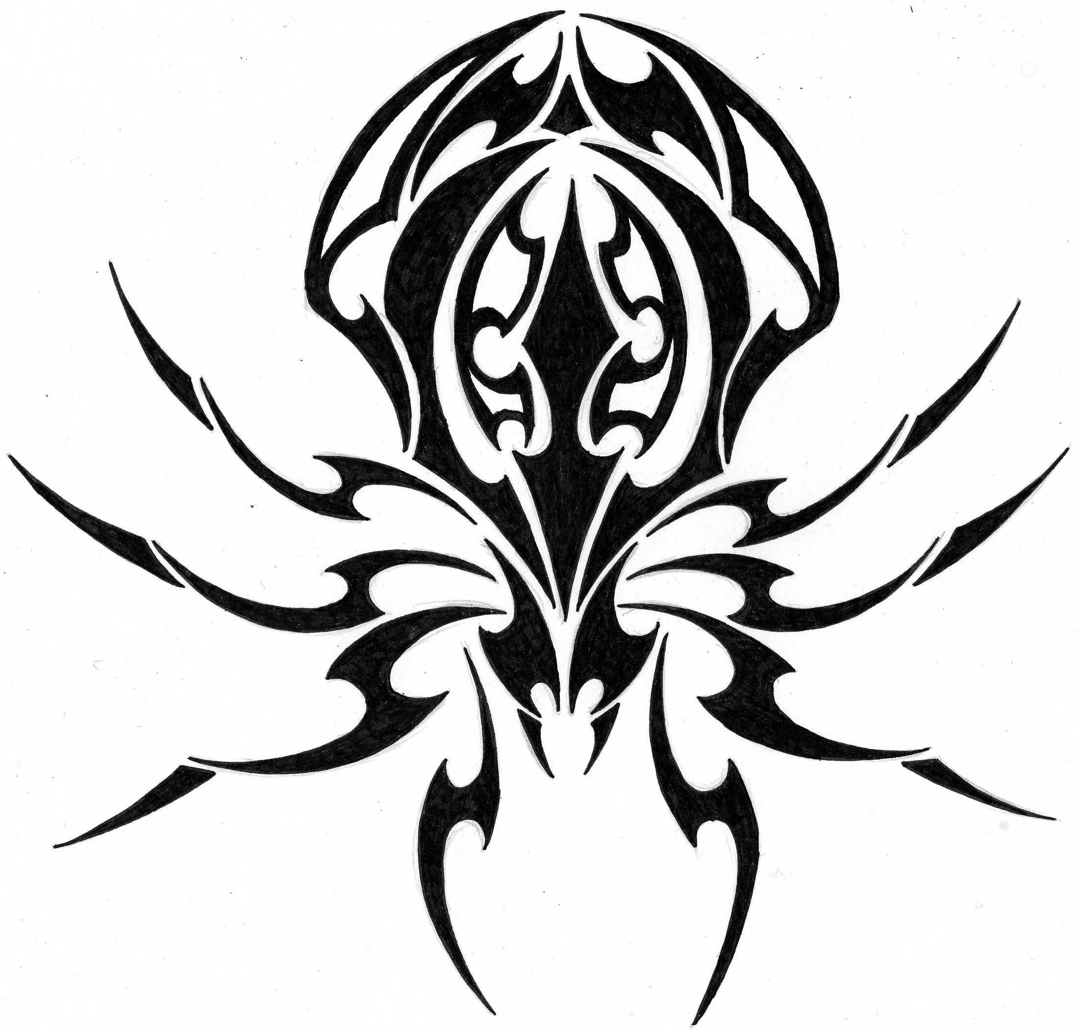 Tribal Spider Skull And Web Tattoo Designs | Fresh 2017 Tattoos Ideas