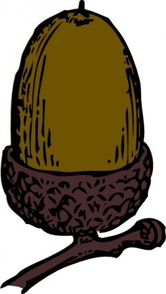Acorn clip art Vector clip art - Free vector for free download