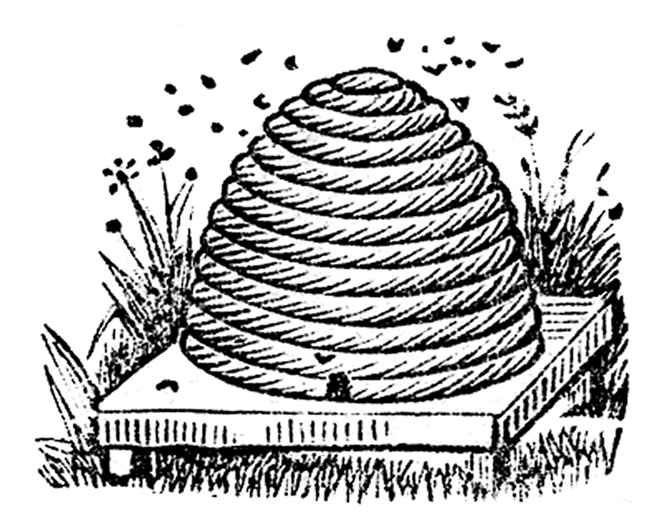 Honey Bee Hive Clipart Here is the clip art i used on
