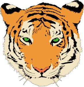 Baby Tiger Face Clip Art - Free Clipart Images