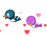 Birds in flight--