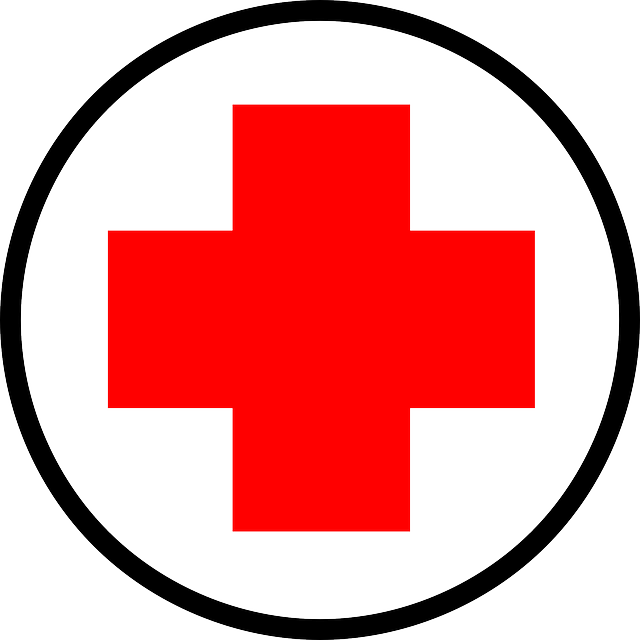 RED, CROSS, DOCTOR, NURSE, CARTOON, FREE, HELP, FIRST - Public ...