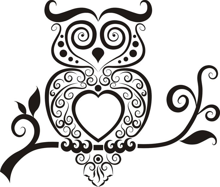 Owl clipart outline - ClipartFox