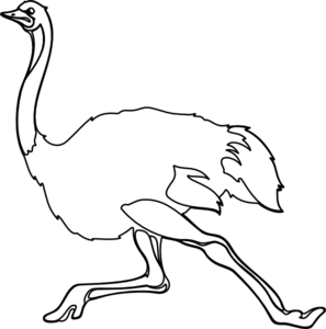 Free Clipart Cartoon Ostrich - ClipArt Best