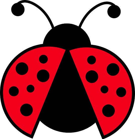 Cute lady bug clipart