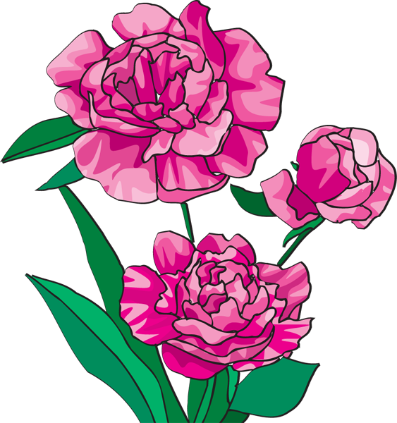 Lily Of The Valley Clipart - ClipArt Best
