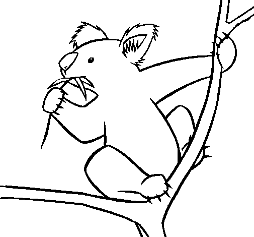 Koala Outline - AZ Coloring Pages
