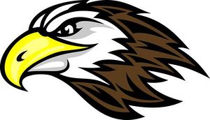 Falcon Clip Art - Tumundografico