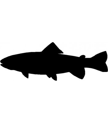 Trout Fish Wall Hanging/ Magnetic Memo