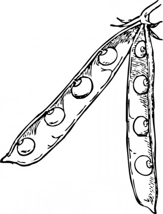 Pea Pod clip art Vector clip art - Free vector for free download