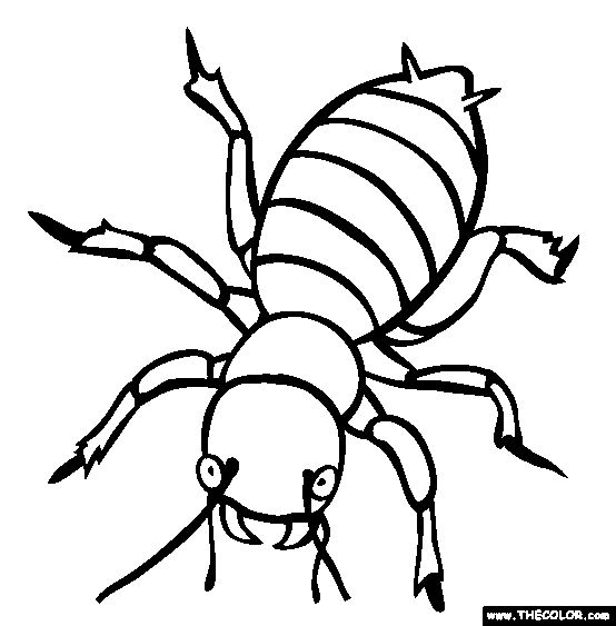Insect Online Coloring Pages | Page 1