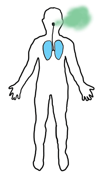 Mysteries of the Human Body on Behance
