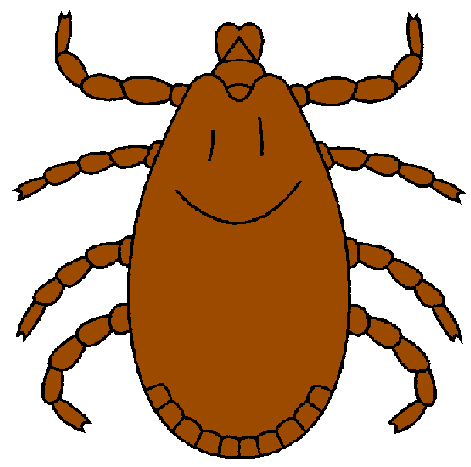 Flea And Tick Clipart