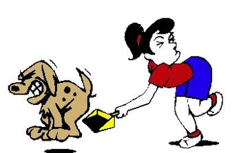 Pick up dog poop clipart