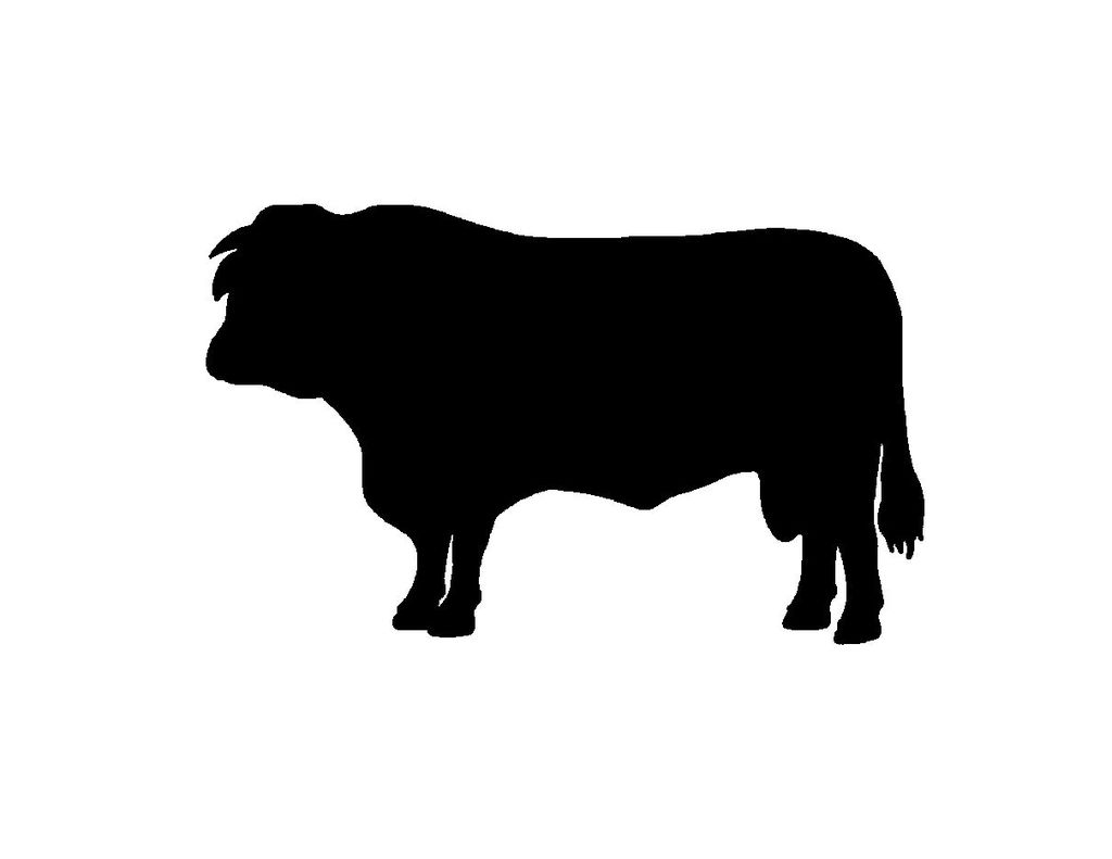 Angus Bull Silhouette Clipart