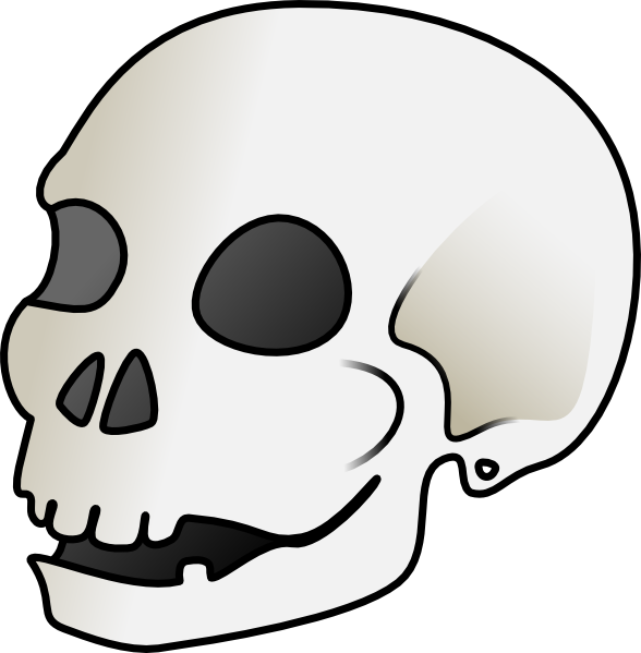 Cartoon Skull Clipart