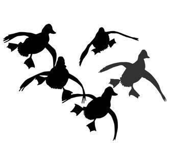 Landing Duck Clipart