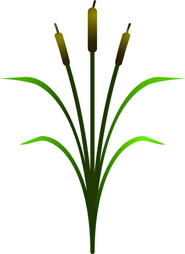 Cattail Clipart - Tumundografico