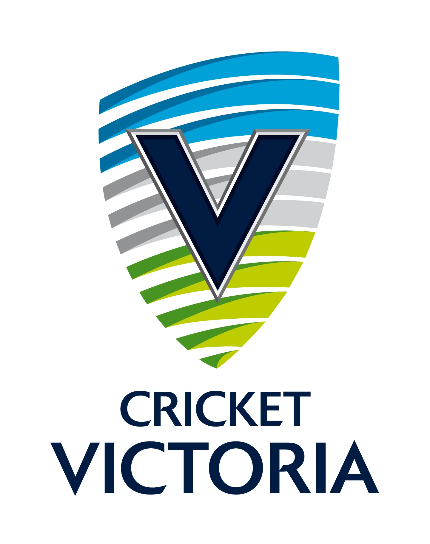 1000+ images about cricket logo ideas