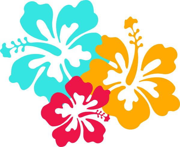Hibiscus Vector