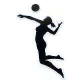 Volleyball_Player_Girl_hits_ ...