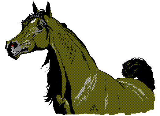 Arabian Horse Head Clipart - Free Clipart Images