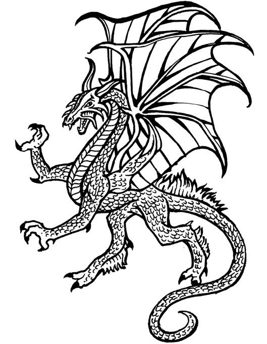 1000+ images about Doodling Dragons | Dragon art ...